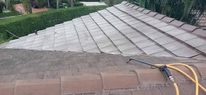 wellington roof cleaning